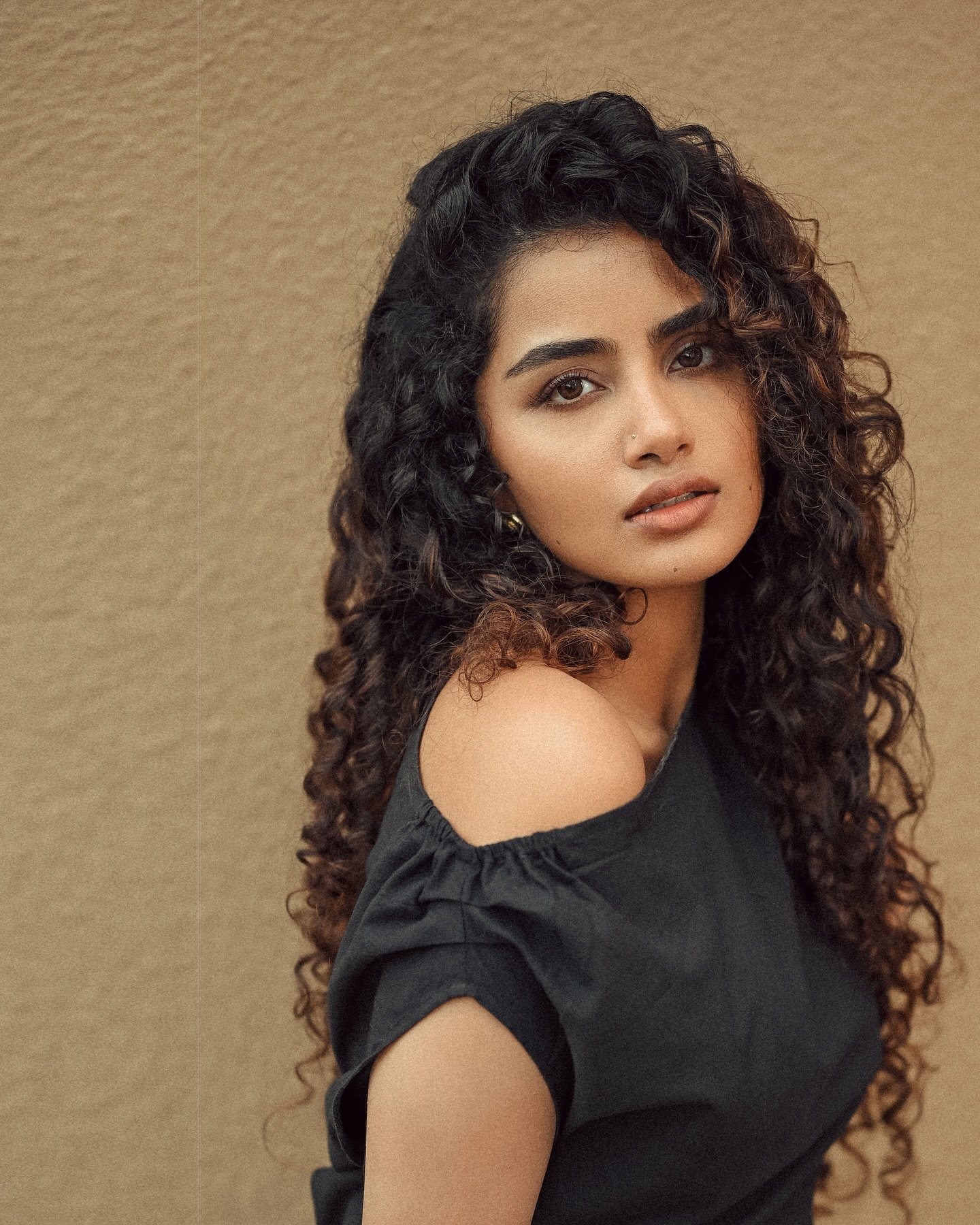 anupama parameswaran husband