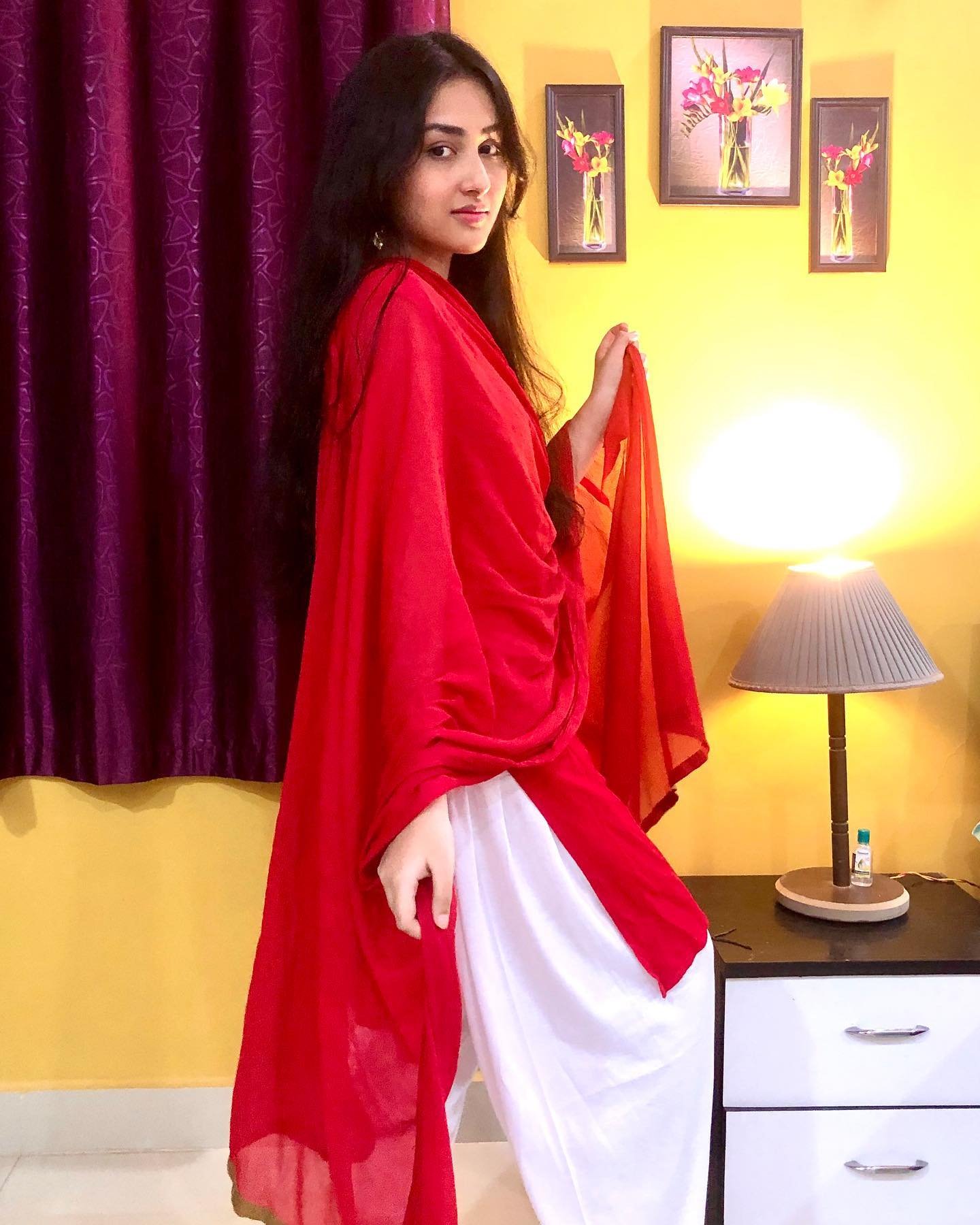 anchal sahu movies and tv shows